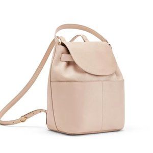 Cuyana Blush 13 in backpack